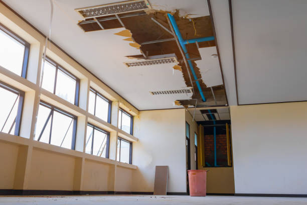 Best Professional water damage repair  in Gainesville, FL