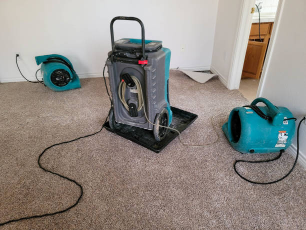 Best 24-hour water damage restoration  in Gainesville, FL