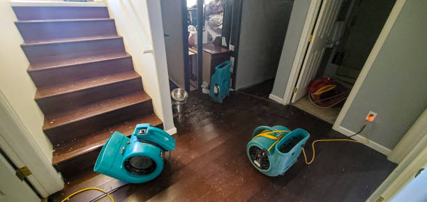 Best Residential water damage restoration  in Gainesville, FL