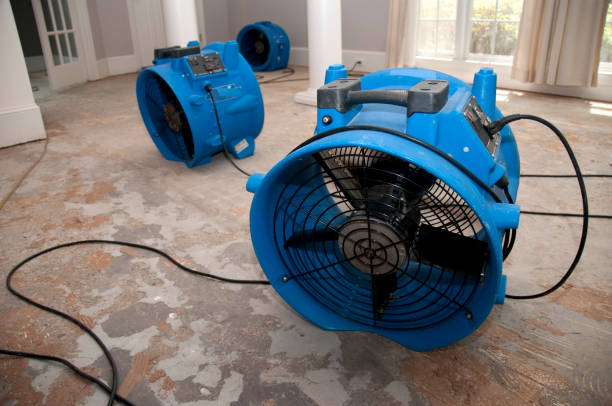 Best Water damage restoration near me  in Gainesville, FL