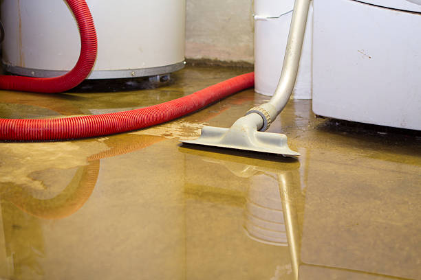 Best 24/7 water damage repair  in Gainesville, FL