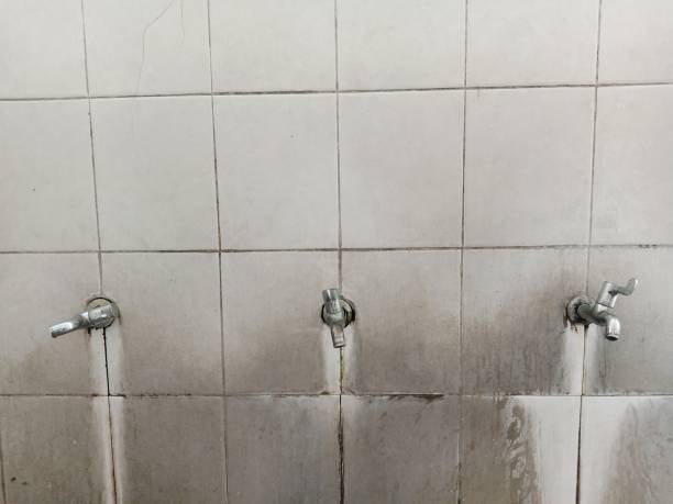 Best Commercial water damage restoration  in Gainesville, FL