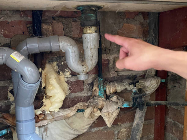 Best Sewage cleanup and water damage restoration  in Gainesville, FL