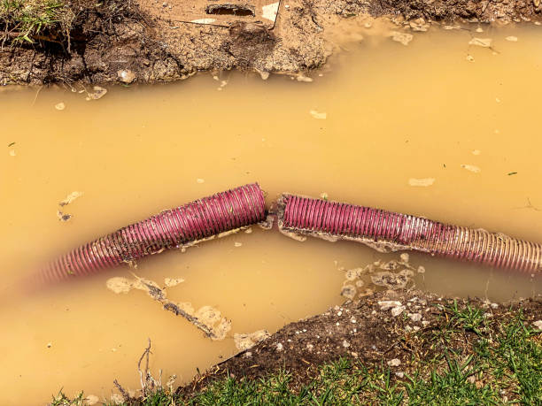 Best Water damage restoration experts  in Gainesville, FL