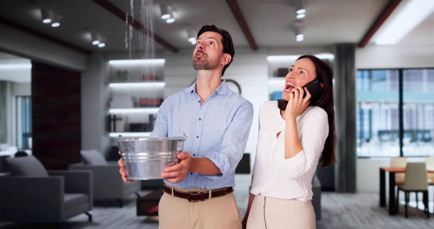 Best Fire Damage Restoration  in Gainesville, FL